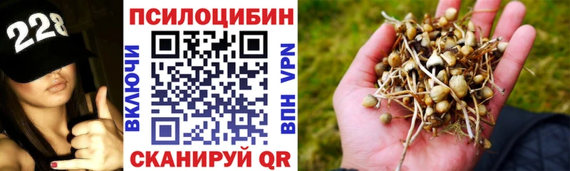 купить наркоту  Нерюнгри  Псилоцибиновые грибы ЛСД 